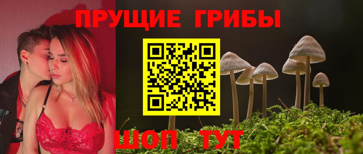 Галлюциногенные грибы MAGIC MUSHROOMS Железноводск